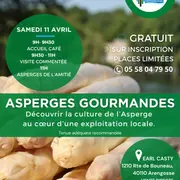 Asperges Gourmandes