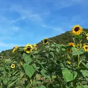 Assemblée Générale de l'association Graine de Jardin à St Geniez d'Olt