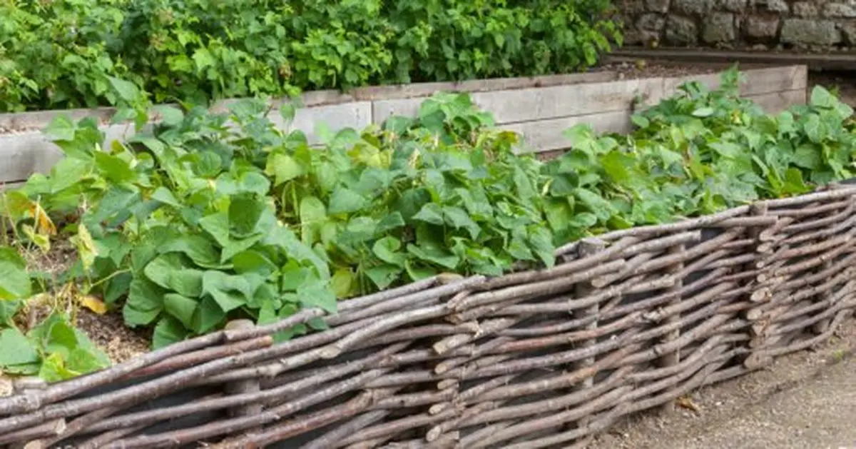 Atelier 0 Déchet Fabriquer Ses Bordures Naturelles