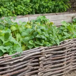 Atelier 0 Déchet Fabriquer Ses Bordures Naturelles