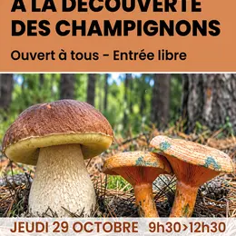 Atelier à la découverte des champignons
