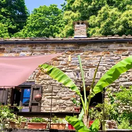 Atelier à La Découverte Des Mudrās