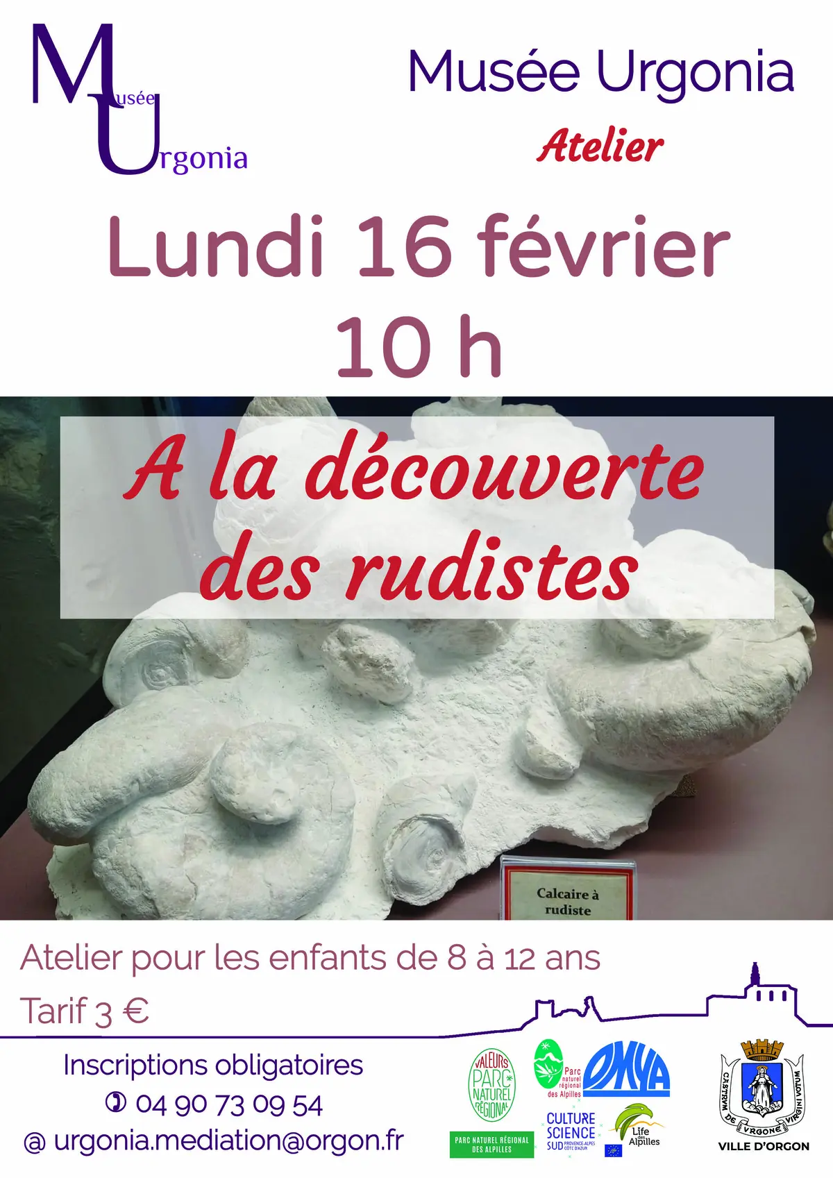 Atelier A la découverte des rudistes