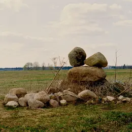 Atelier à la ferme: Land'Art, portrait de monstre