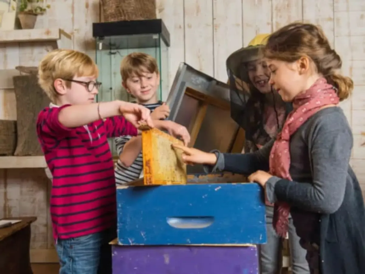 Atelier Abeilles & Animaux à la Ferme de Gally de St-Denis