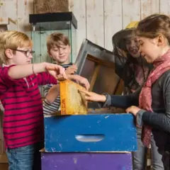 Atelier Abeilles & Animaux à la Ferme de Gally de St-Denis