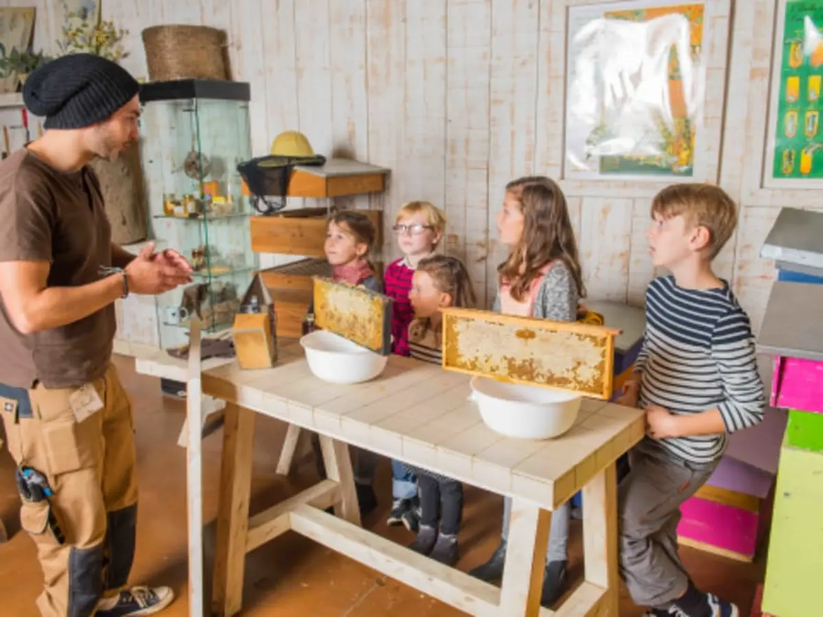 Atelier Abeilles & animaux de la Ferme de Gally de Sartrouville