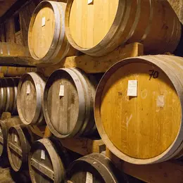 Atelier : Accord de l'Armagnac