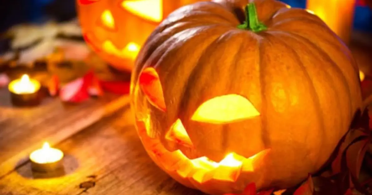 Atelier adulte citrouille d'Halloween aux Jardins de Meslay (37)