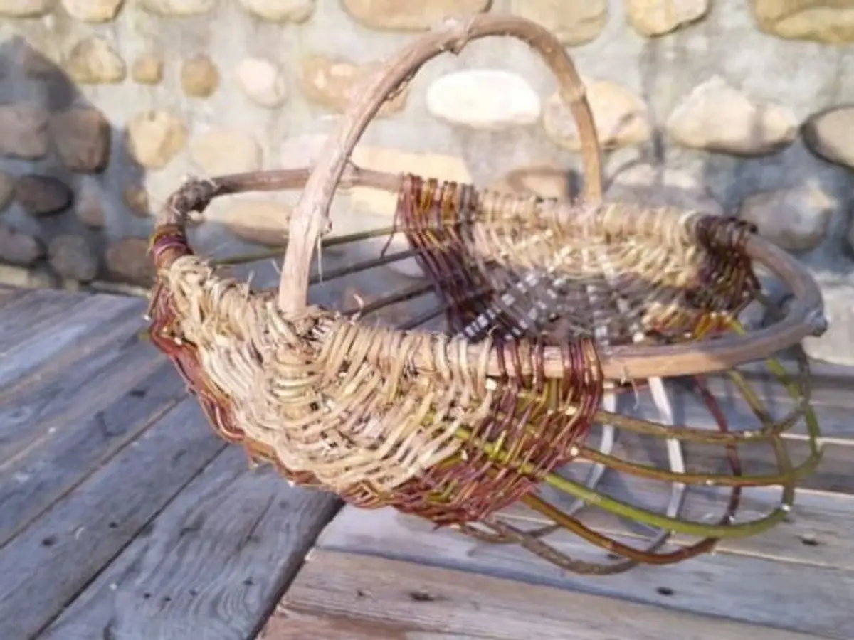 Atelier adulte vannerie sauvage en ronce et en jonc, à la Cueillette de l'Aragnon