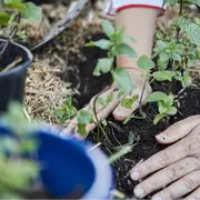 Atelier adultes : Jardin