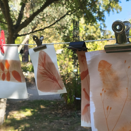 Atelier anthotype