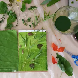 Atelier Anthotype Au Musée