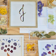 Atelier apéro herbier encadré avec Graines de botaniste