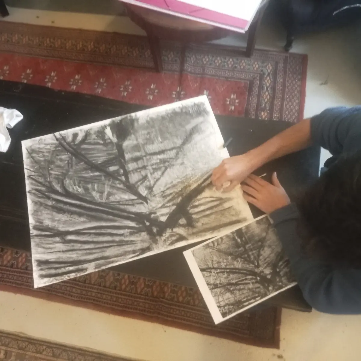 Atelier arbres au fusain