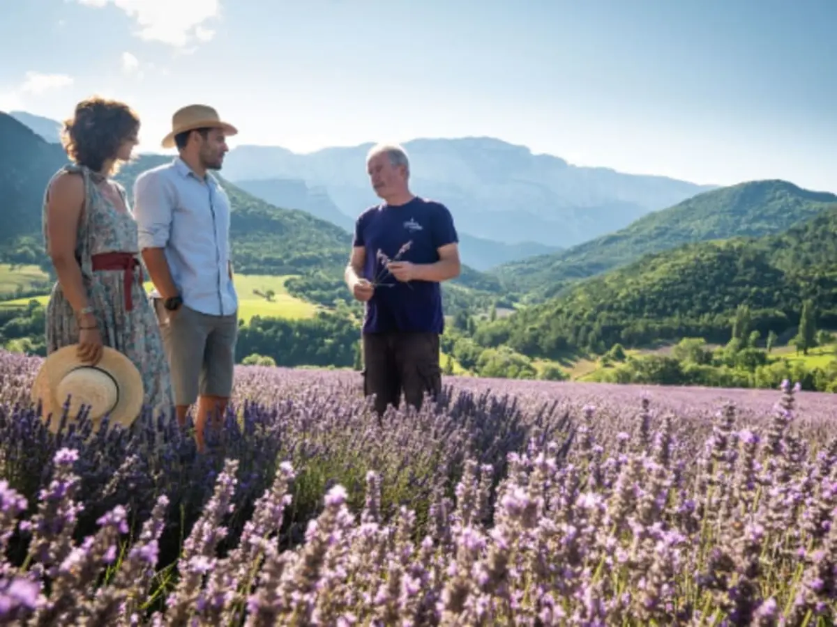 Atelier aromathérapie dans une distillerie à Chamaloc (26)