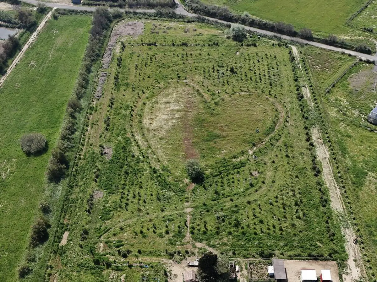 Atelier Artistique Les Arbres De Françoise Gilot