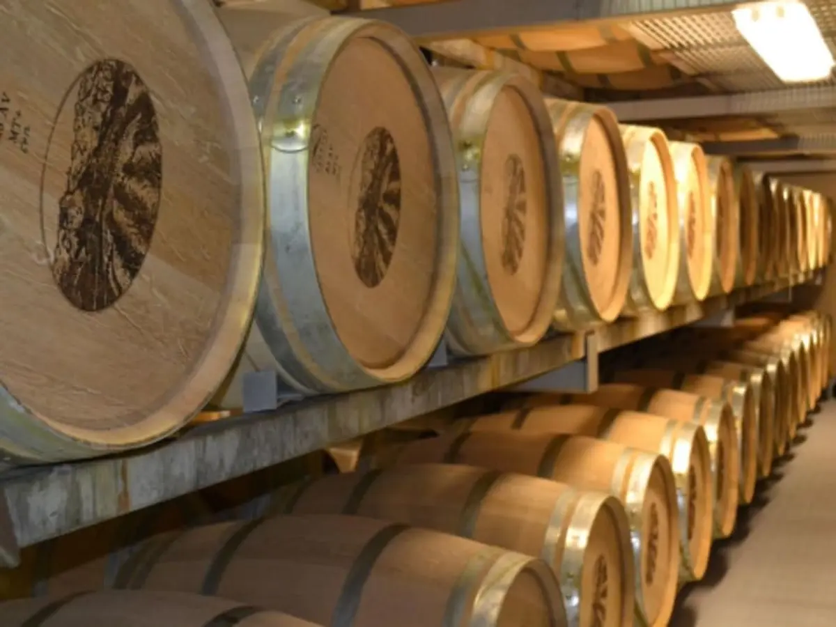 Atelier assemblage à Villematier (31)