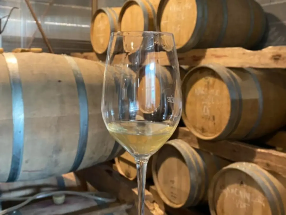 Atelier assemblage de vin à Bordeaux (33)