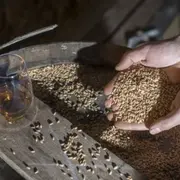 Atelier assemblage de whisky au Château du Barroux (84)
