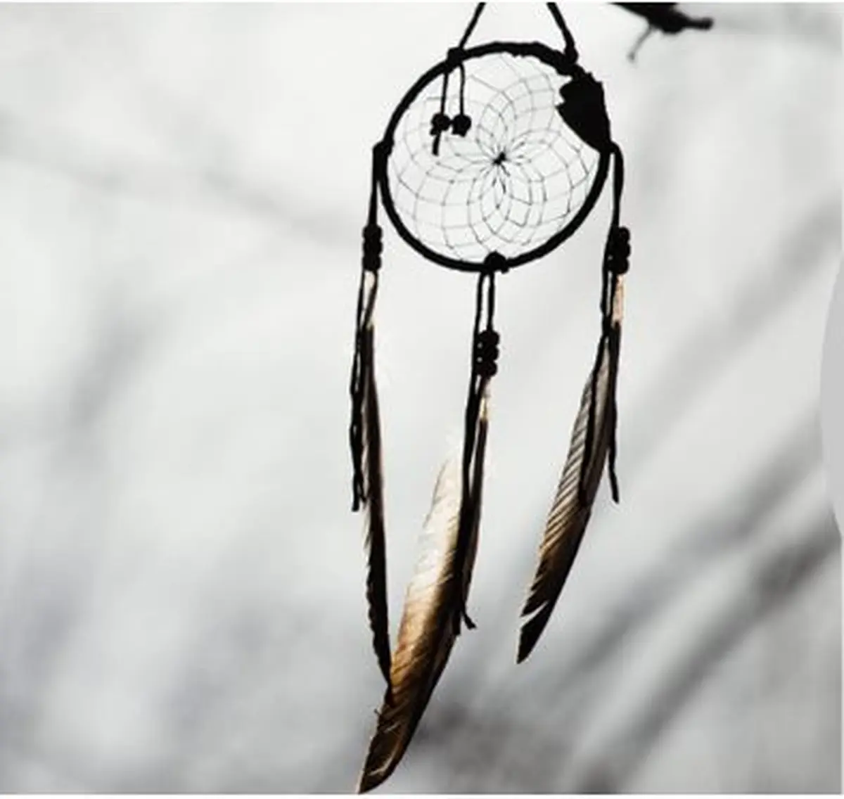 Atelier Attrape rêves