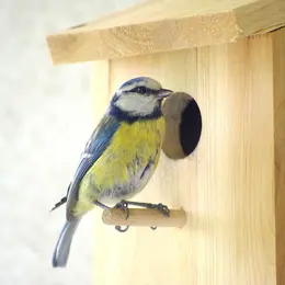 Atelier au potager en permaculture : fabrication de nichoirs pour les oiseaux
