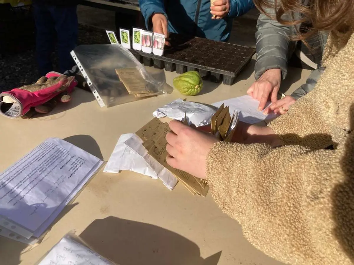 Atelier au potager en permaculture : les semis de printemps