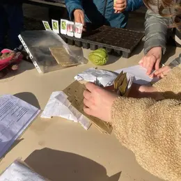 Atelier au potager en permaculture : les semis de printemps