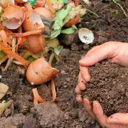 Atelier autour du compostage