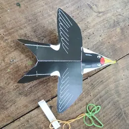 atelier avion japonais en forme de rapaces
