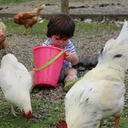 Atelier bébés fermiers à Lanvellec (22)