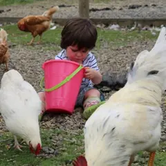 Atelier bébés fermiers à Lanvellec (22)