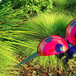 Atelier - Bio-inspiration : la nature modèle de la science
