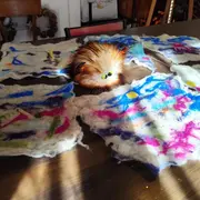 Atelier BleuTroubadour