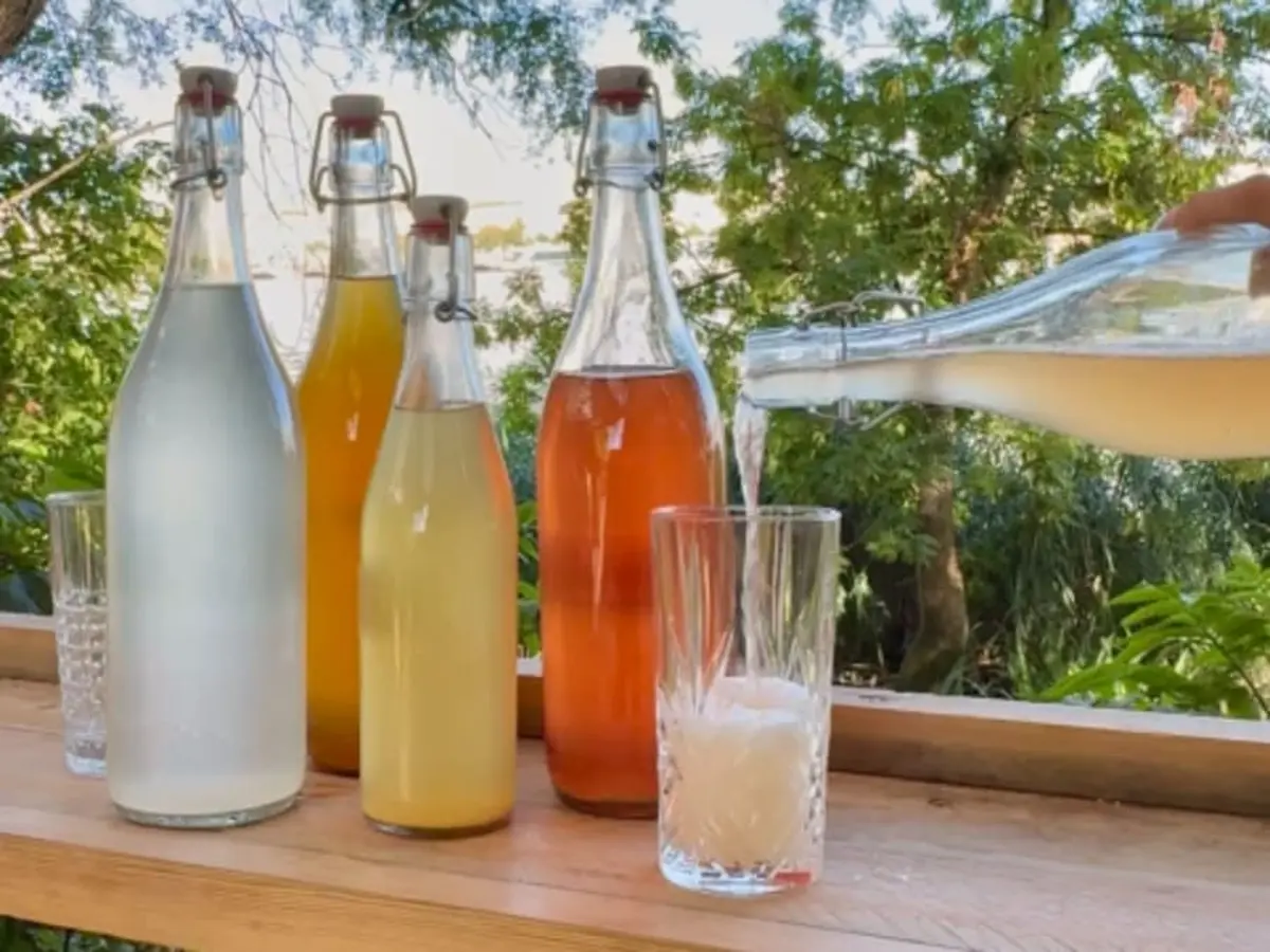 Atelier boissons fermentées à Bordeaux (33)