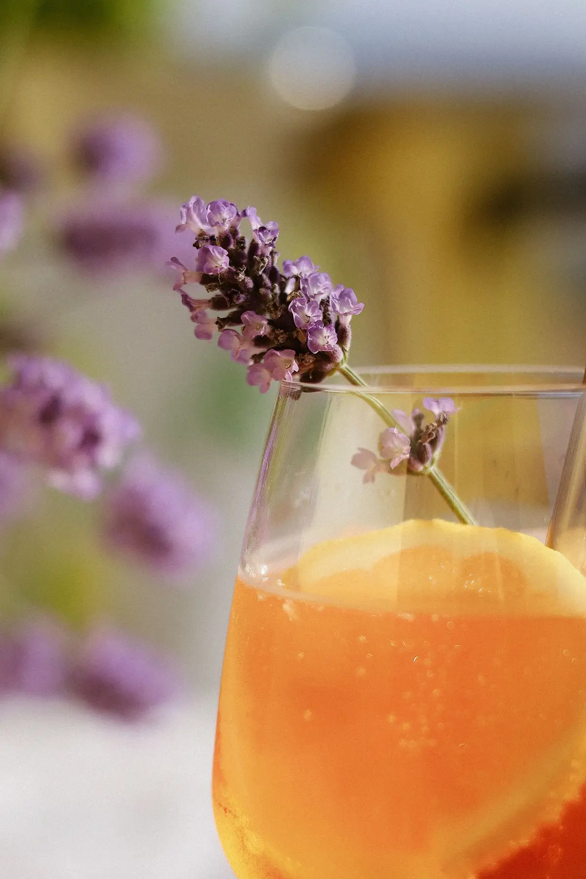 Atelier boissons gazeuses naturelles