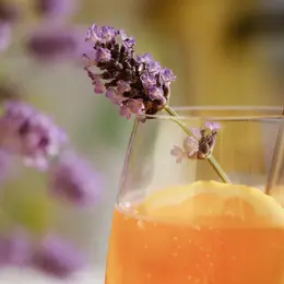 Atelier boissons gazeuses naturelles