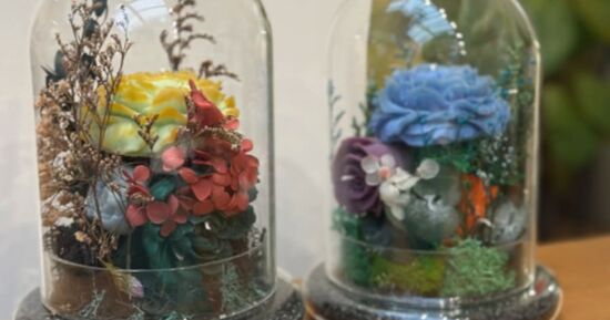 Top 10 des id&eacute;es sorties pour ce week-end en Seine-et-Marne (du 24 au 26 avril 2026)