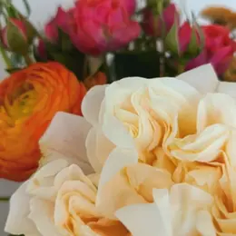 Poitiers : 5 idées sorties sympa pour ce week-end (11 au 13 septembre 2026)