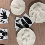 Atelier Bout d'choux Moulage d'empreinte animale