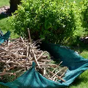 Atelier Broyer Ses Végétaux Pour Mieux Les Réutiliser