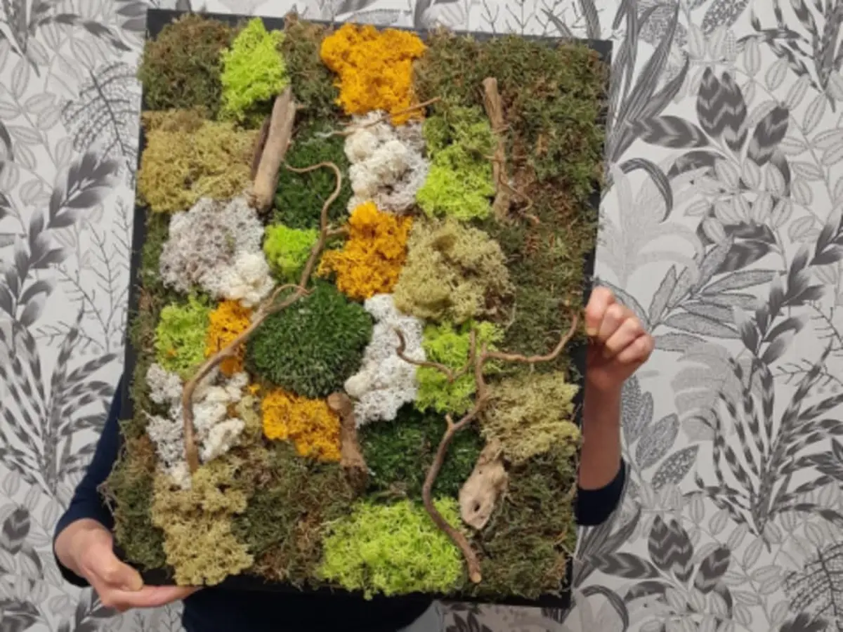 Atelier cadre végétal à Wasquehal (59)