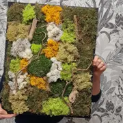 Atelier cadre végétal à Wasquehal (59)