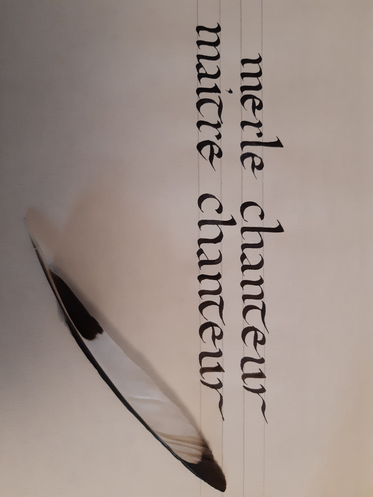 Atelier calligraphie écriture Caroline