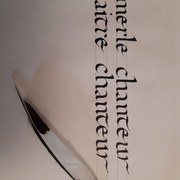 Atelier calligraphie écriture Caroline