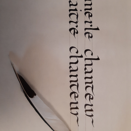 Atelier calligraphie écriture Caroline