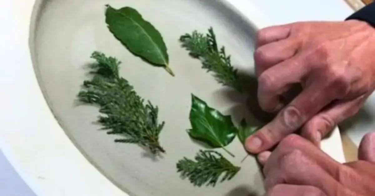 Atelier céramique "Mon assiette végétalisée" à Tours (37)