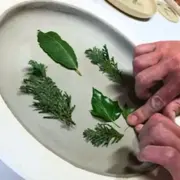 Atelier céramique Mon assiette végétalisée à Tours (37)