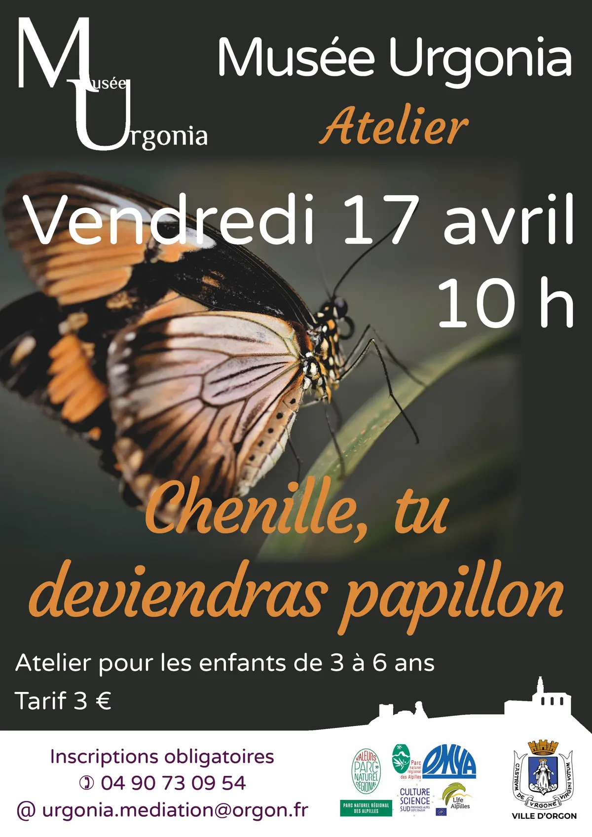 Atelier « Chenille, tu deviendras papillon »