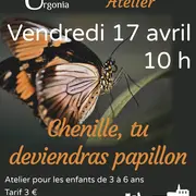 Atelier « Chenille, tu deviendras papillon »